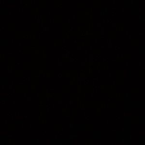 Meet your Posher, Maize